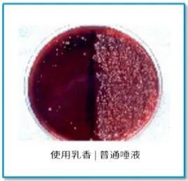 爆珠口气清新糖多少钱_爆珠清新糖真的有用吗_爆珠糖怎么样