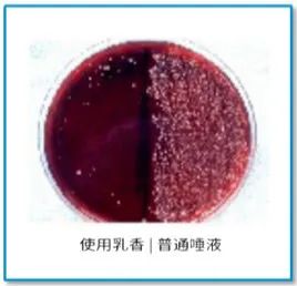 爆珠烟捏碎不捏碎的区别_爆珠烟捏碎了第二天再抽_爆珠烟怎么捏碎爆珠
